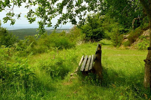 玉山市无疑 玉山市无疑