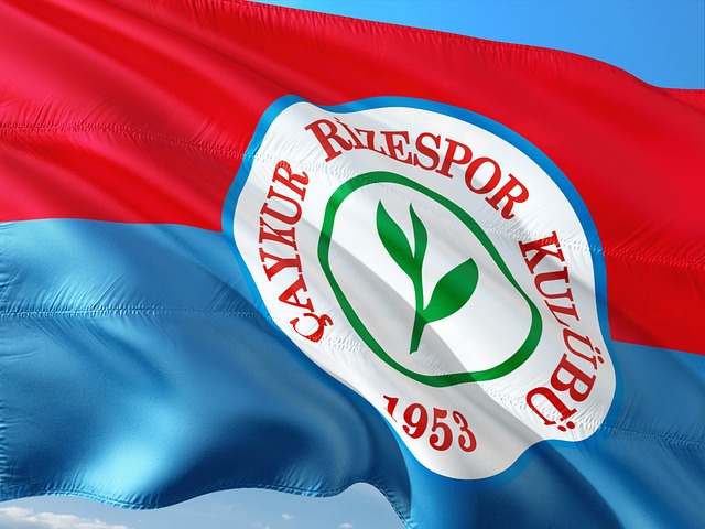 战术布局中 战术布局中