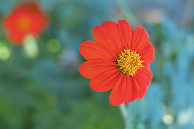 尤其是在面 尤其是在面