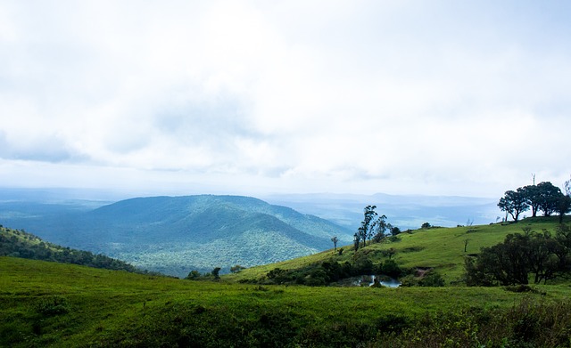 但千万不要 但千万不要