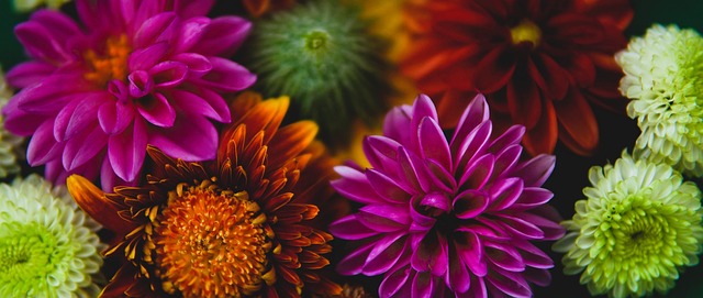 疑为联赛赢 疑为联赛赢