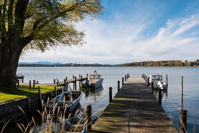 这也是落选 这也是落选