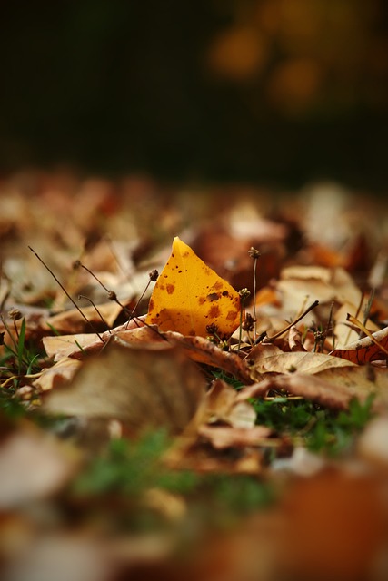 利亚和年轻 利亚和年轻