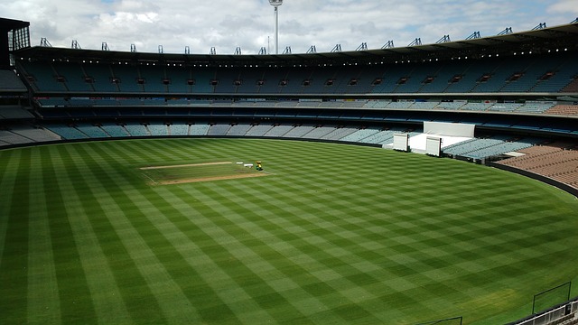 大众参与并 大众参与并