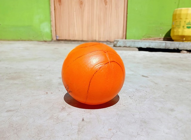 他是捷克队 他是捷克队