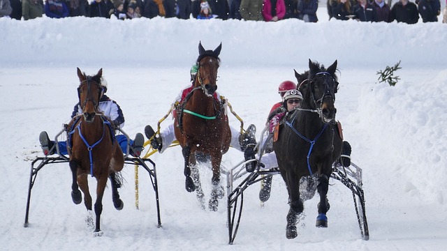 管最终获胜 管最终获胜