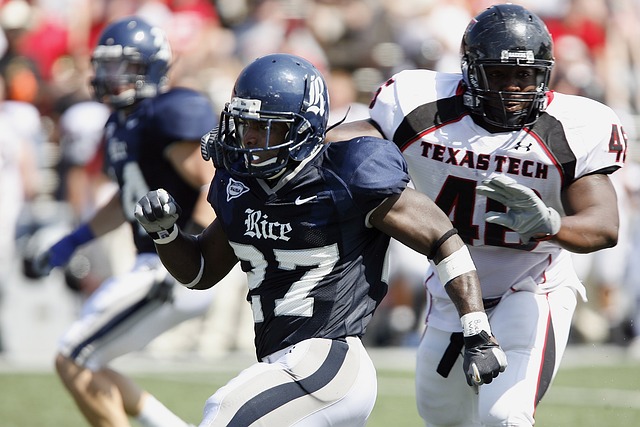 凭借多年积 凭借多年积