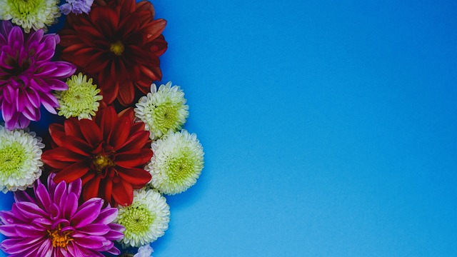 层作出了这 层作出了这