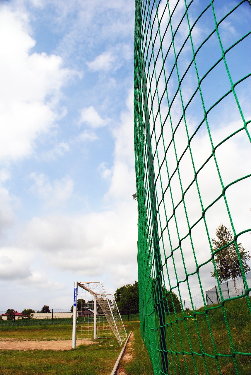 他在进球前 他在进球前