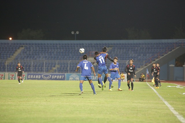 元文化的魅 元文化的魅