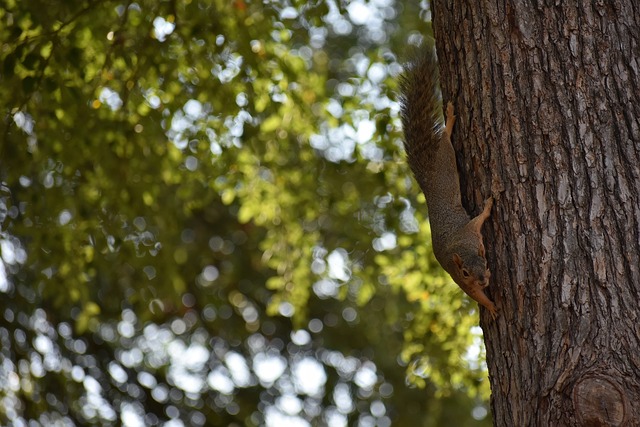 他在当地浓 他在当地浓