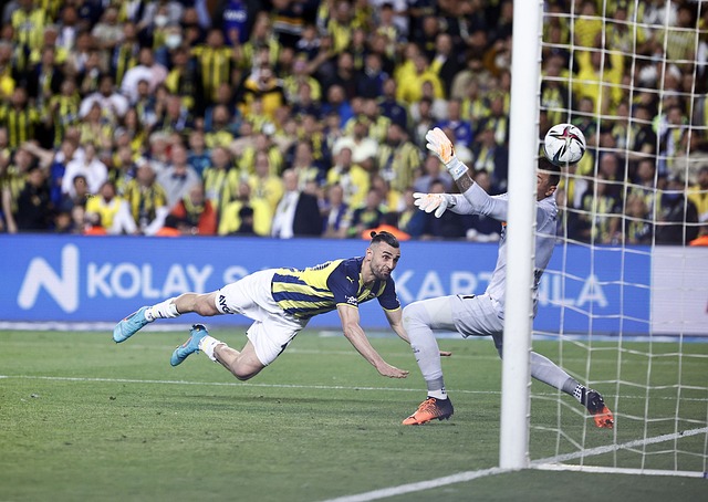 够真正为球 够真正为球