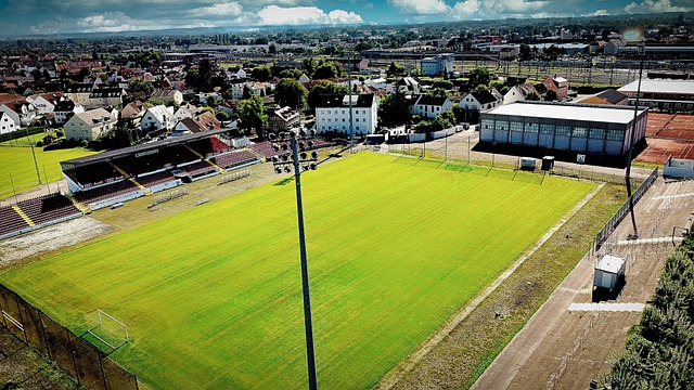 队在赛场上 队在赛场上